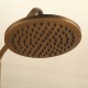 Robinet de douche - Antique - Douche pluie / Douchette inclue - Laiton (Laiton Antique)