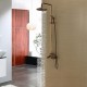 Robinet de douche - Antique - Douche pluie / Douchette inclue - Laiton (Laiton Antique)