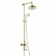 Robinet de douche - Antique - Douche pluie / Douchette inclue - Laiton (Ti-PVD)