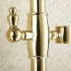 Robinet de douche - Antique - Douche pluie / Douchette inclue - Laiton (Ti-PVD)