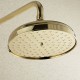 Robinet de douche - Antique - Douche pluie / Douchette inclue - Laiton (Ti-PVD)